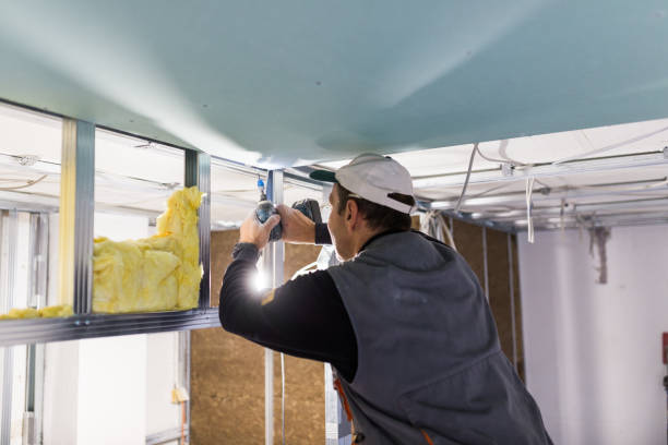 Best Wall Insulation Contractor  in Ferris, TX