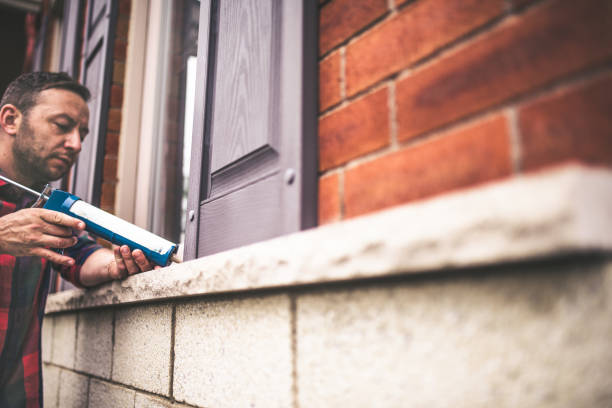 Best Home Insulation Services  in Ferris, TX