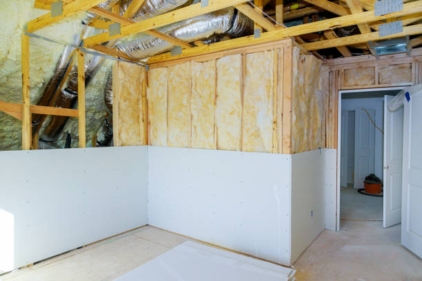 Best Wall Insulation Contractor  in Ferris, TX