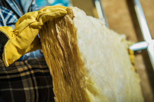 Best Attic Insulation Installation  in Ferris, TX