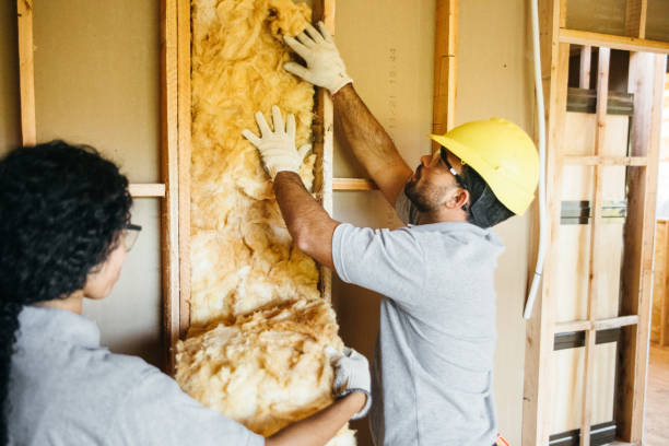 Best Insulation for New Construction  in Ferris, TX
