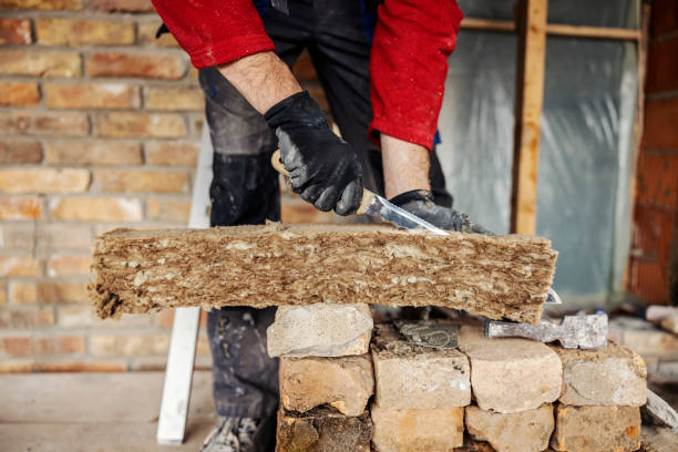 Best Insulation Replacement Services  in Ferris, TX