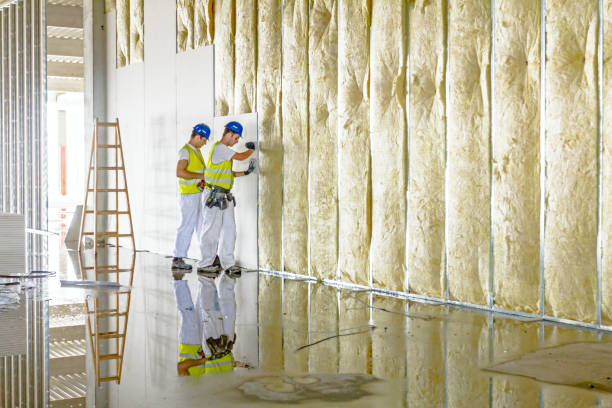 Best Cellulose Insulation  in Ferris, TX